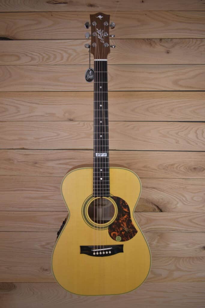 ギター Maton guitar EBG808TE DSC_0399-scaled-1-683x1024.jpg