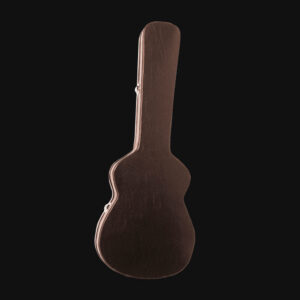 Guitar Accessories